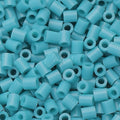 C22 [10g Pack] 2.6mm Perler Bead