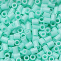 C25 [10g Pack] 2.6mm Perler Bead